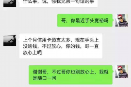 蝶山蝶山的要账公司在催收过程中的策略和技巧有哪些？