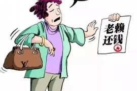 蝶山专业讨债公司有哪些核心服务？